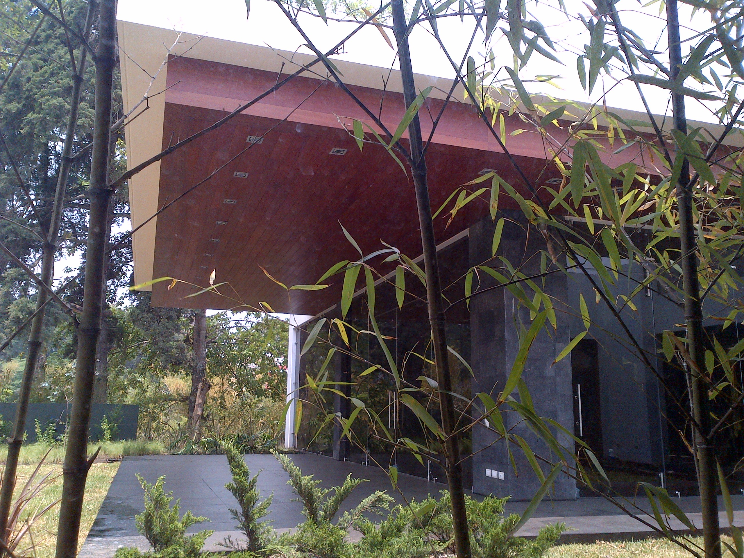 IMG-20120508-00285